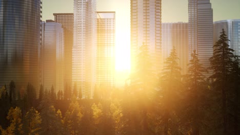 skyscrapers-at-sunset-and-park-trees